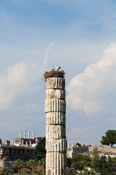 The Temple of Artemis, one of the Seven Wonders of the Ancient World