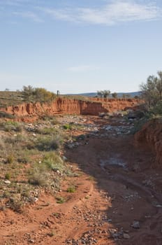 landscape in the australian outback