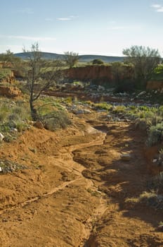 landscape in the australian outback