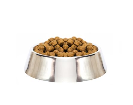 dog food isolated