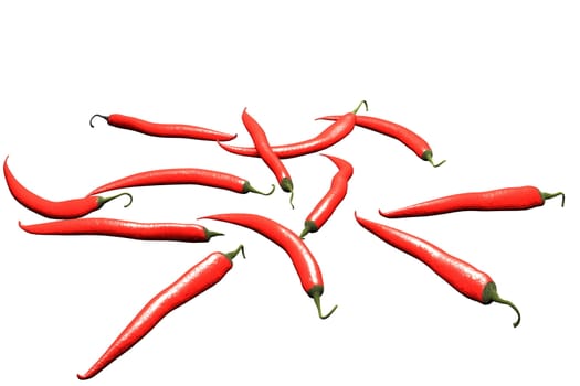 chili illustration