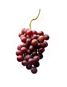 Red grapes isolated