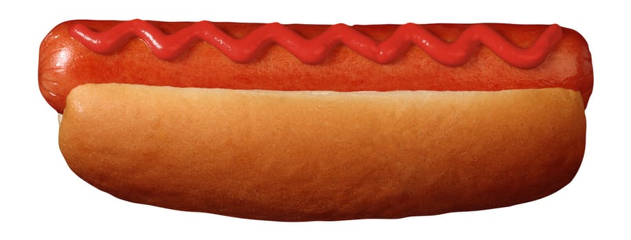 hot dog