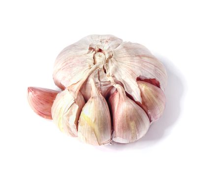 Garlic isolated on white with soft shadow