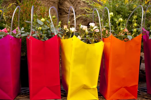 Flowers inside colorful plastic bags