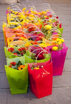 Flowers inside colorful plastic bags