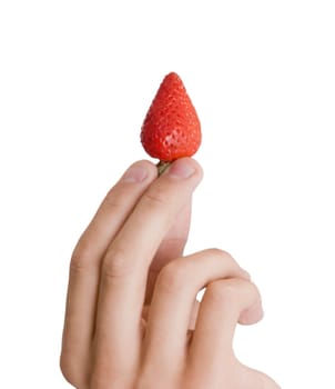 fresh strawberry in hand