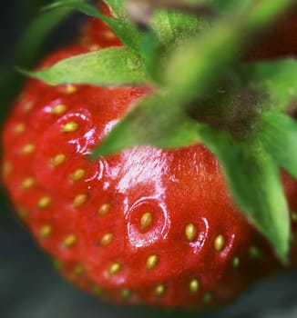 Detailed surface shot of a fresh strawberry