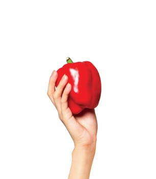 Large red bell pepper in a human hand