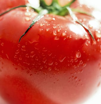 Fresh tomato close-up.