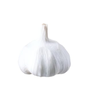 Garlic isolated on white