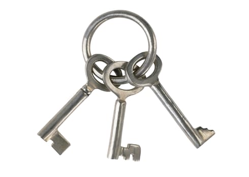 keys on a white background