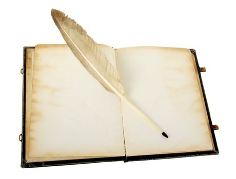 The ancient book and old goose feather