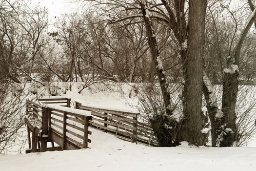 Snow covered walkway amongs winter trees