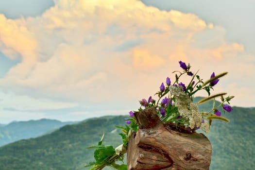 Countryside flowers on a cloudy sky