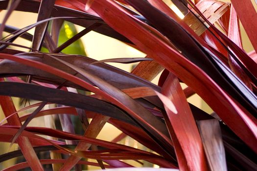 Red dried leaves, furniture for home