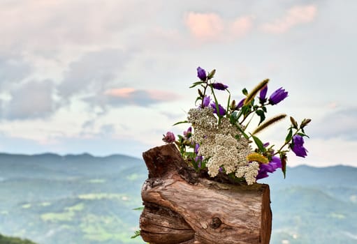 Countryside flowers on a cloudy sky