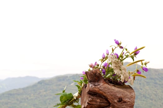 Countryside flowers on a white sky
