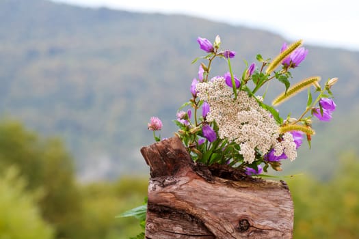 Countryside flowers on a cloudy sky