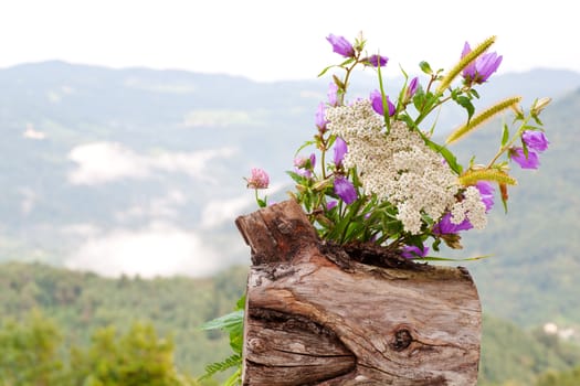 Countryside flowers on a cloudy sky