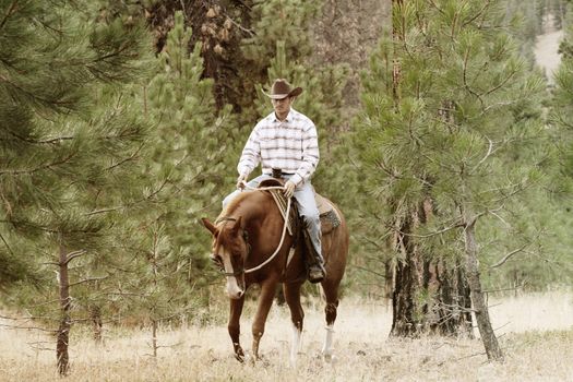 Young cowboy riding his horse in the field