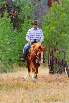 Young cowboy riding his horse in the field