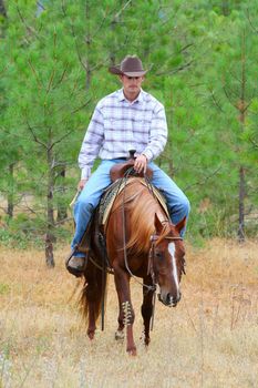 Young cowboy riding his horse in the field
