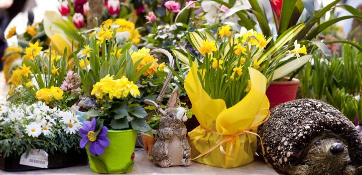 Flowers in pot in a street market