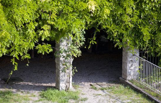 View of Plants on pillars