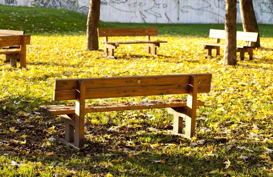 Benches in the park covered by dried leaves