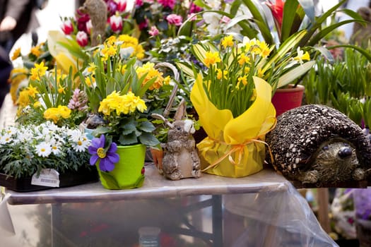 Flowers in pot in a street market