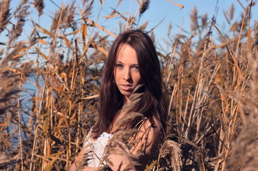 Gentle Beauty Amongst The Reeds, posing in the late evening sun.