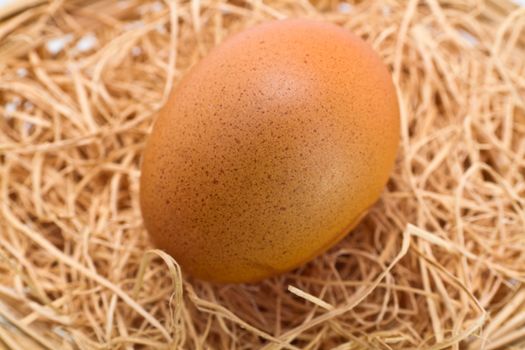 Single brown egg on straw bedding in close up view
