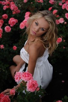 Overhead portrait of a beautiful blonde woman sitting in a bed of pink roses and looking up at the camera.