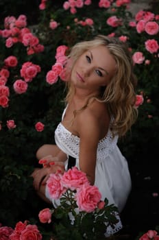 Overhead portrait of a beautiful blonde woman sitting in a bed of pink roses and looking up at the camera.