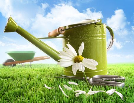 Green watering can with large daisy against sky background