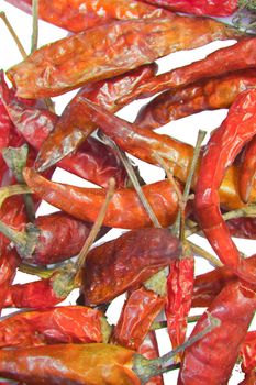 dry red pepper on white background