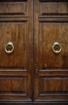 Closeup of nice ancient wooden door with brass handles