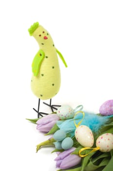 Easter chicken with tulips and eggs isolated on white