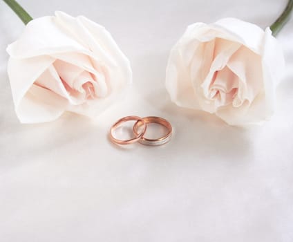 Wedding rings and roses can use as background 