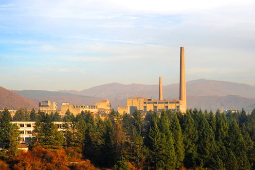 Factory surrounded by lush forest . Berane, Montenegro