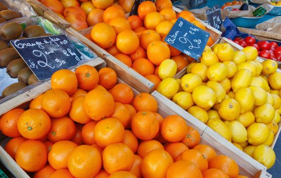 Citrus oranges and lemons on the French market in boxes.