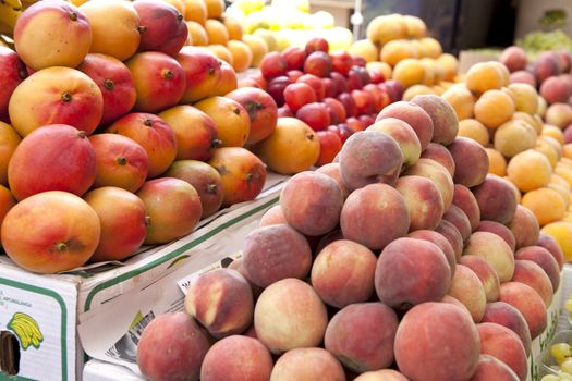 Mango and peaches fruit at the outdoor market in Cape Town.