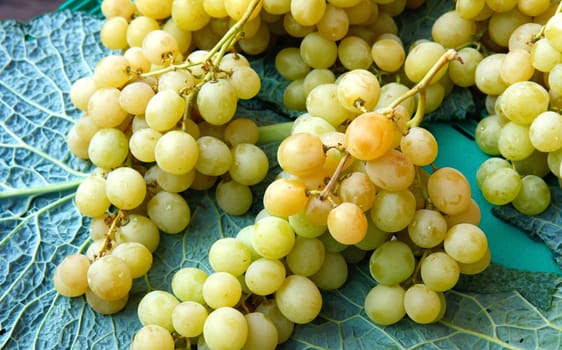 Green golden grapes at the French outdoor market on the leaf.