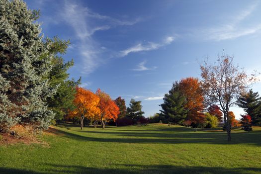 An autumn landscape of colorful trees and a blue sky.