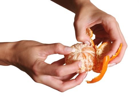 Female hands clean a tangerine on a white background