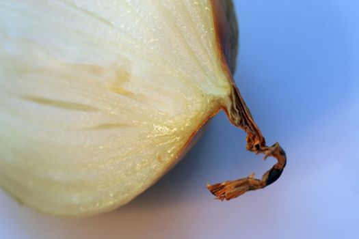 Half of onions clos-up