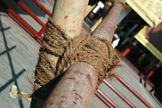 Bamboo secured by strong ropes