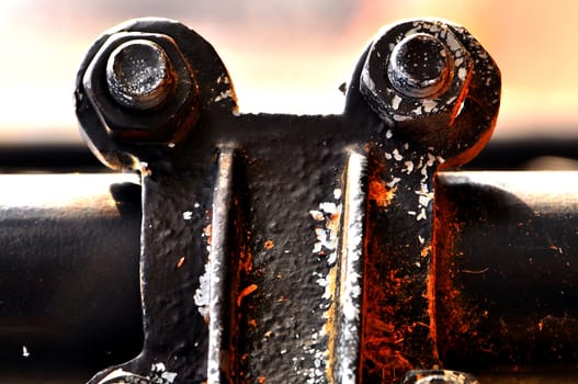 Abstract view of Alligator Eyes formed by a hinge on a gate