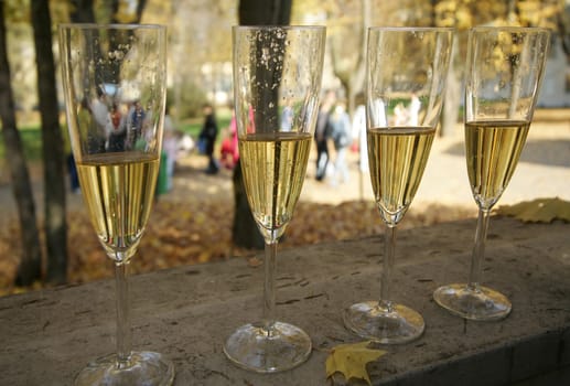 Glasses filled with champagne in autumn park